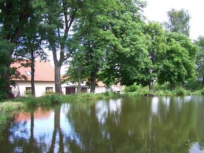 Rybník "U Koruny" Žernovice